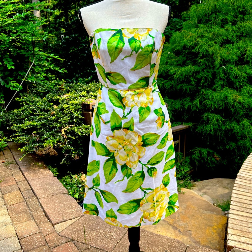 Milly Strapless Midi Dress